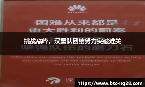 挑战巅峰,汉堡队团结努力突破难关